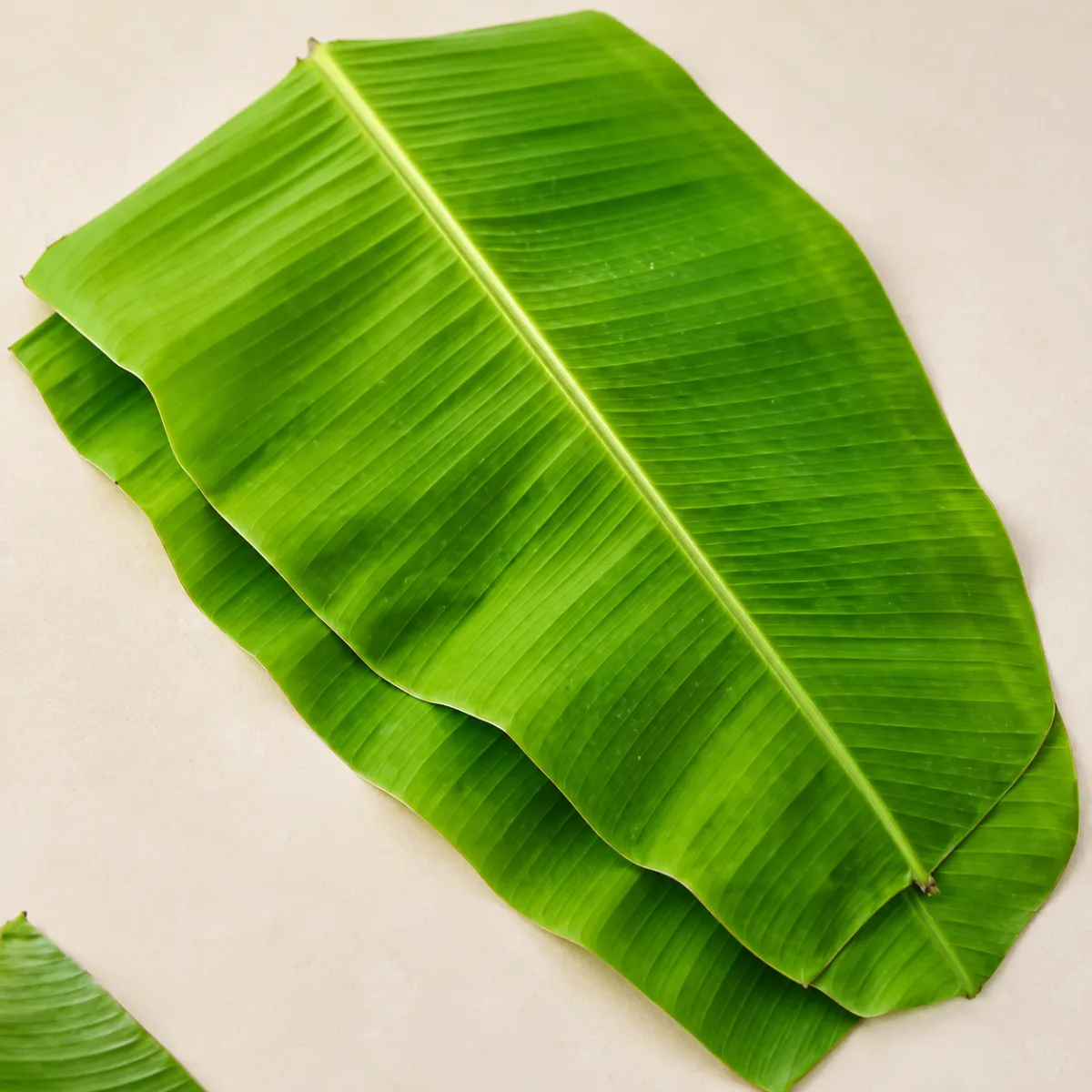BANANA LEAF — Halal Fresh Produce available at Takumi Halal Mart Japan
