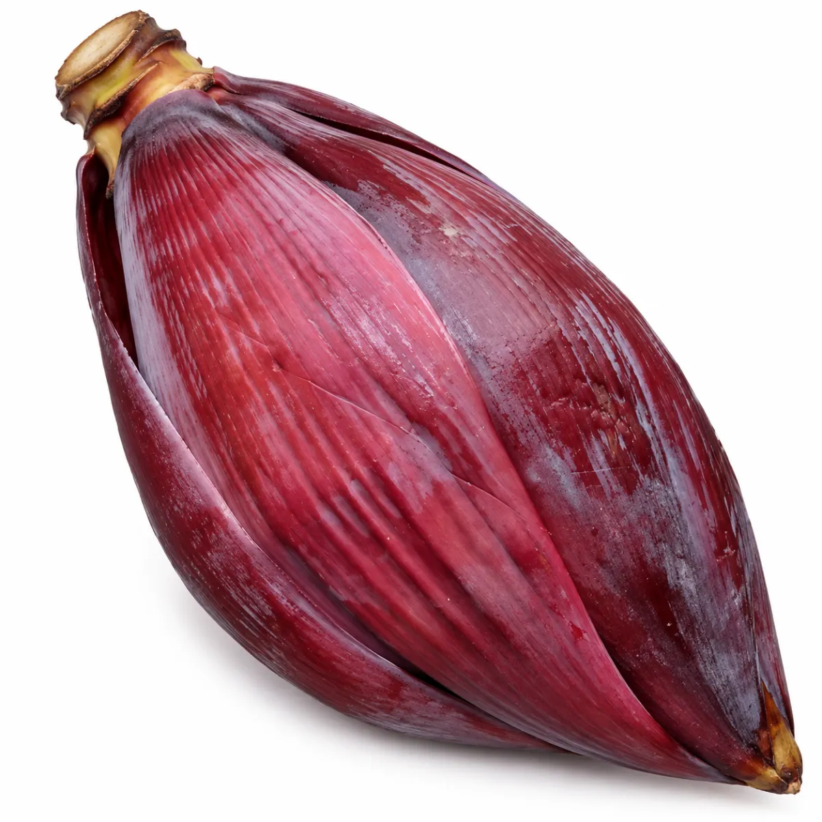 BANANA BLM — Halal Fresh Produce available at Takumi Halal Mart Japan